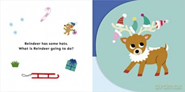 What Is Reindeer Going To Do - Carly Madden [KSIĄŻKA]