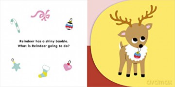 What Is Reindeer Going To Do - Carly Madden [KSIĄŻKA]