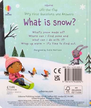 What Is Snow - Katie Daynes [KSIĄŻKA]