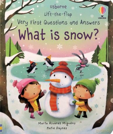 What Is Snow - Katie Daynes [KSIĄŻKA]