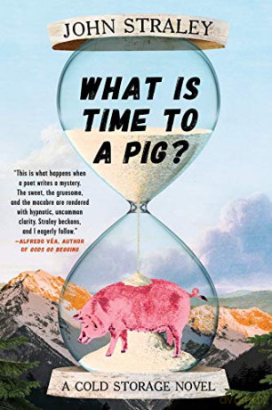 What Is Time To A Pig [KSIĄŻKA]