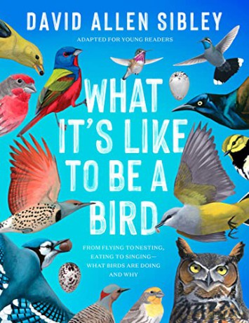 What Its Like To Be A Bird - David Allen Sibley [KSIĄŻKA]