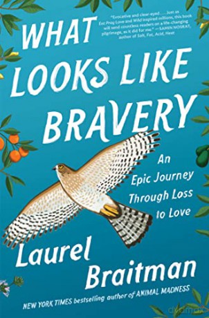 What Looks Like Bravery - Laurel Braitman [KSIĄŻKA]