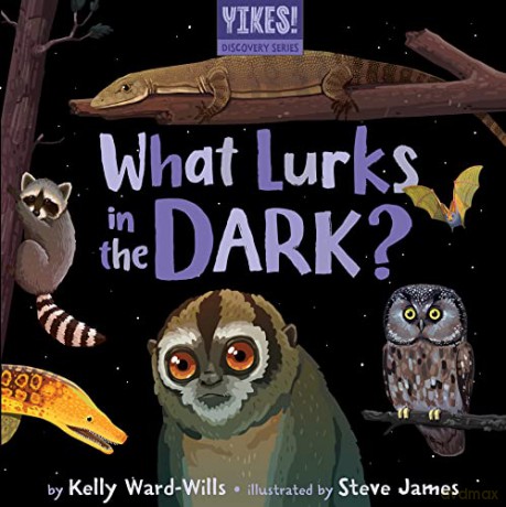 What Lurks In The Dark [KSIĄŻKA]