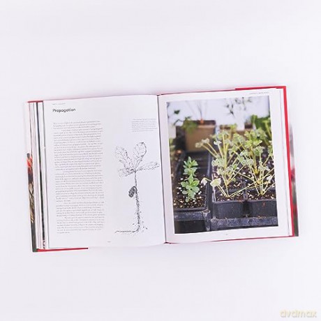 What Makes A Garden - Jinny Blom [KSIĄŻKA]