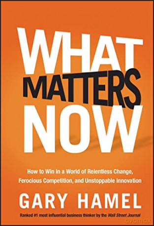 What Matters Now - Gary Hamel [KSIĄŻKA]