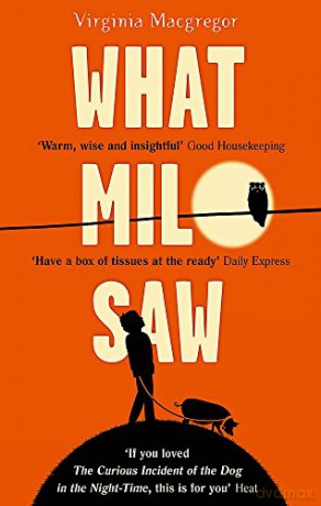 What Milo Saw - Virginia Macgregor [KSIĄŻKA]
