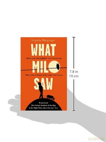 What Milo Saw - Virginia Macgregor [KSIĄŻKA]