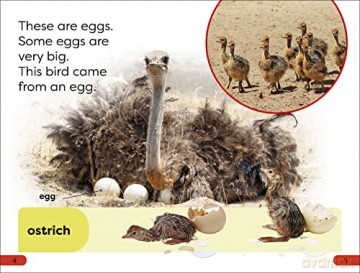 What Starts In An Egg Pre Level [KSIĄŻKA]