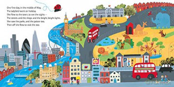 What The Ladybird Heard On Holiday - Julia Donaldson [KSIĄŻKA]