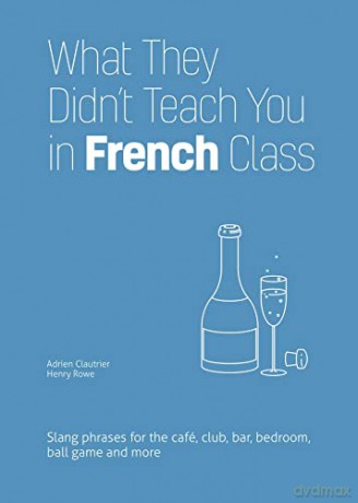 What They Didnt Teach You In French Clas - Adrien Clautrier [KSIĄŻKA]