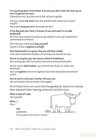 What They Didnt Teach You/Italian Class - Gabrielle Euvino [KSIĄŻKA]