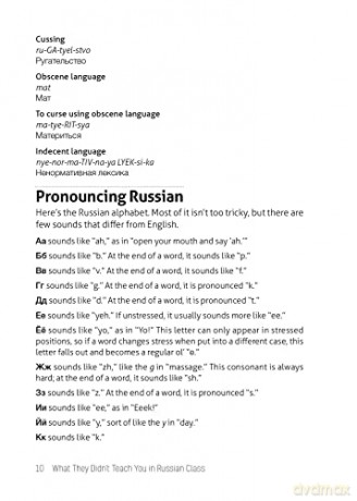 What They Didnt Teach You/Russian Class - Erin Coyne [KSIĄŻKA]