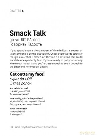 What They Didnt Teach You/Russian Class - Erin Coyne [KSIĄŻKA]