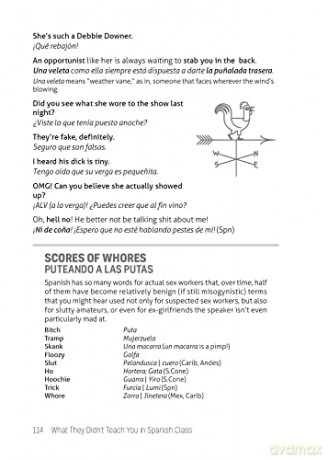 What They Didnt Teach You/Spanish Class - Juan Caballero [KSIĄŻKA]