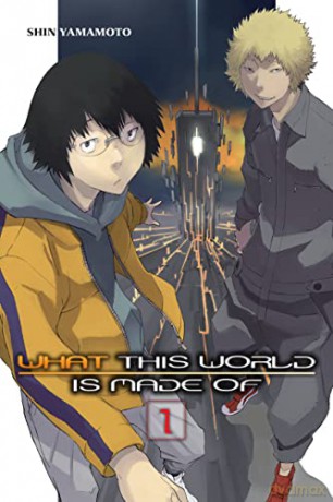 What This World Is Made Of Vol 1 - Shin Yamamoto [KSIĄŻKA]