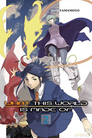 What This World Is Made Of Vol 2 - Shin Yamamoto [KSIĄŻKA]