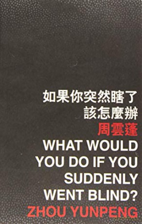 What Would You Do If You Suddenly Went B - Yunpeng [KSIĄŻKA]