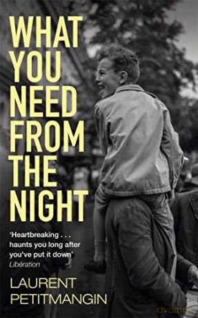 What You Need From The Night - Laurent Petitmangin [KSIĄŻKA]