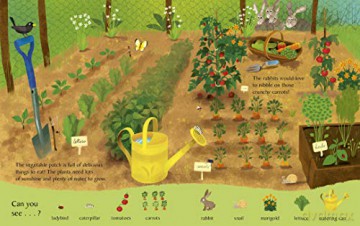 What You See On The Farm - Sebastien Braun [KSIĄŻKA]