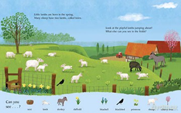What You See On The Farm - Sebastien Braun [KSIĄŻKA]