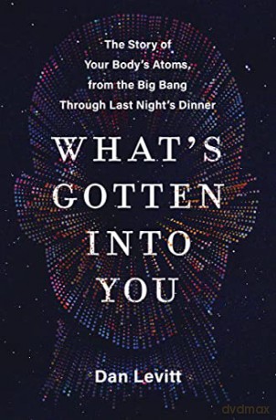 Whats Gotten Into You Hb - Levitt Dan [KSIĄŻKA]