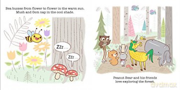 Whats In The Forest - Ralph Cosentino [KSIĄŻKA]