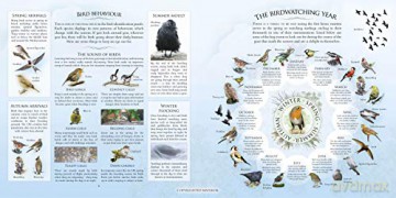 Whats That Garden Bird - Caz Buckingham [KSIĄŻKA]