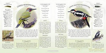 Whats That Garden Bird - Caz Buckingham [KSIĄŻKA]