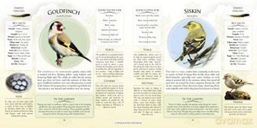 Whats That Garden Bird - Caz Buckingham [KSIĄŻKA]