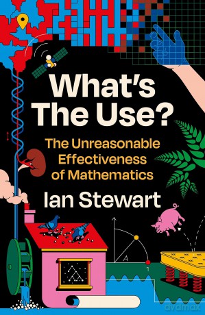 Whats The Use - Ian Stewart [KSIĄŻKA]