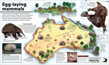 Whats Where On Earth Animal Atlas [KSIĄŻKA]