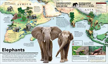 Whats Where On Earth Animal Atlas [KSIĄŻKA]