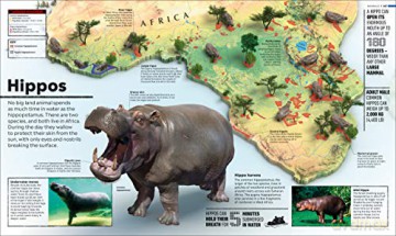 Whats Where On Earth Animal Atlas [KSIĄŻKA]