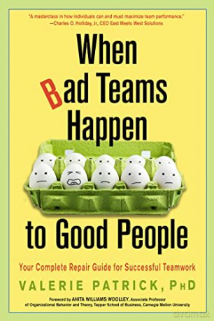 When Bad Teams Happen To Good People - Valerie Patrick [KSIĄŻKA]