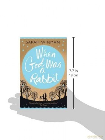 When God Was A Rabbit - Reissue - Winman Sarah [KSIĄŻKA]