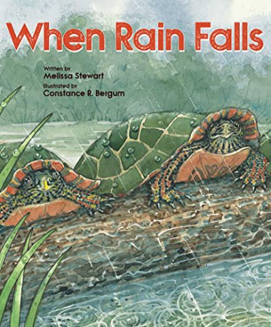 When Rain Falls - Melissa Stewart [KSIĄŻKA]
