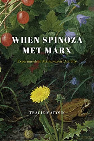 When Spinoza Met Marx - Tracie Matysik [KSIĄŻKA]