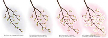 When The Sakura Bloom - Narisa Togo [KSIĄŻKA]