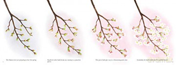 When The Sakura Bloom - Narisa Togo [KSIĄŻKA]