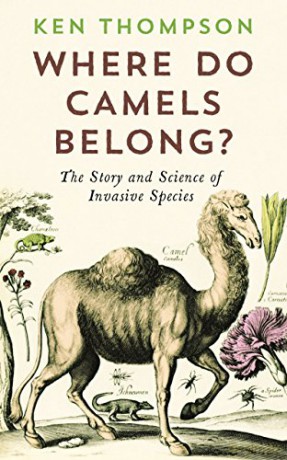 Where Do Camels Belong - Ken Thompson [KSIĄŻKA]