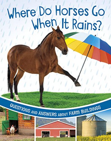Where Do Horses Go When It Rains - Katherine Rawson [KSIĄŻKA]