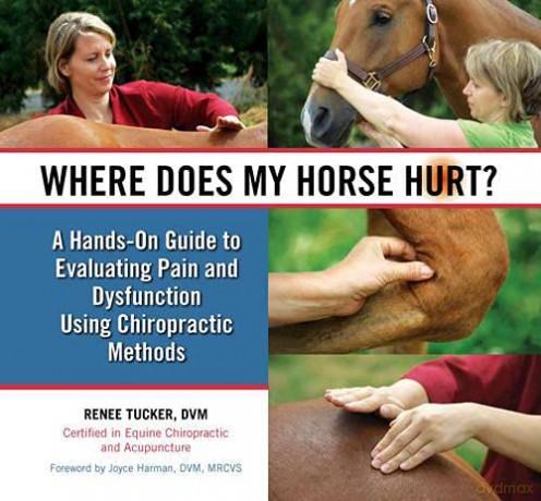 Where Does My Horse Hurt - Renee Tucker [KSIĄŻKA]