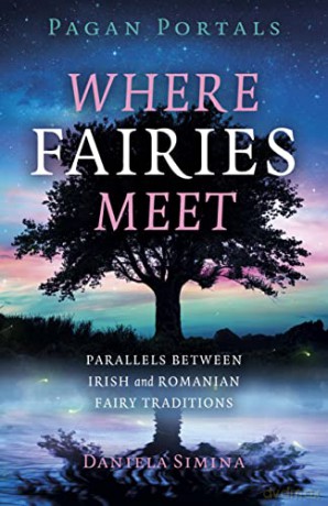 Where Fairies Meet - Daniela Simina [KSIĄŻKA]
