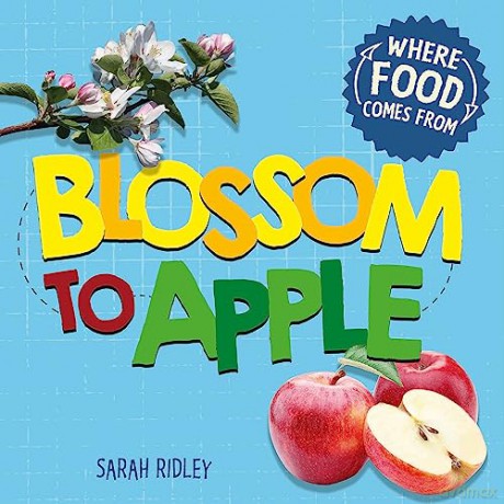 Where Food Comes From Blossom To Apple - Sarah Ridley [KSIĄŻKA]