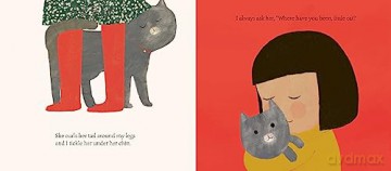 Where Have You Been Little Cat - Richard Jones [KSIĄŻKA]