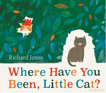 Where Have You Been Little Cat - Richard Jones [KSIĄŻKA]