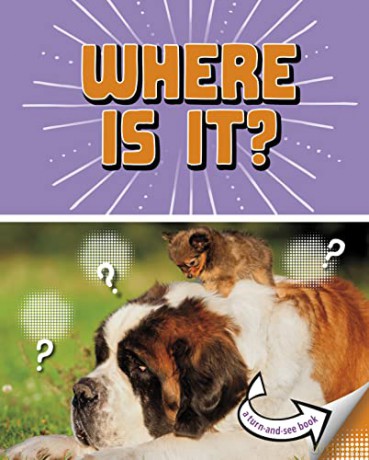 Where Is It - Meister Cari [KSIĄŻKA]