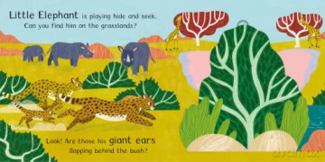 Where Is Little Elephant - Hannah (Illus) Abbo [KSIĄŻKA]