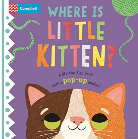 Where Is Little Kitten - Hannah (Illus) Abbo [KSIĄŻKA]